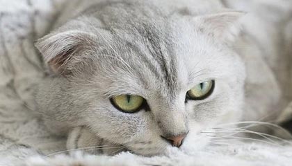 bwin体育-官方：萨卡与阿森纳完成续约 新合同至2031年