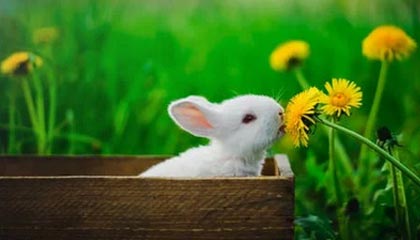 bwin体育-官方：萨卡与阿森纳完成续约 新合同至2031年